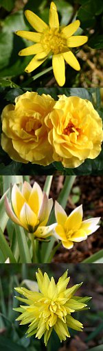 Zufallsbilder - denuwa Fotografie und Fotodesign