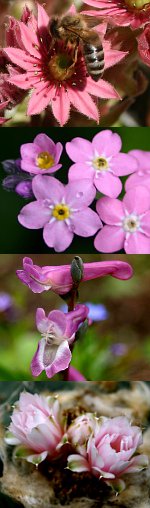 Zufallsbilder - denuwa Fotografie und Fotodesign