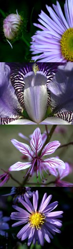 Zufallsbilder - denuwa Fotografie und Fotodesign