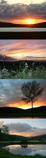 Zufallsbilder - denuwa Fotografie und Fotodesign