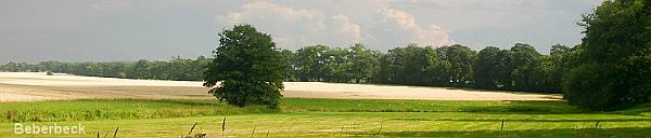 Denuwa Fotografie - Landschaftsfotografie - Beberbeck (Altkreis Hofgeismar)