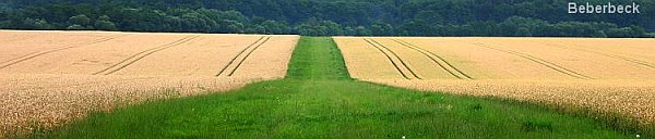 Denuwa Fotografie - Landschaftsfotografie - Beberbeck (Altkreis Hofgeismar)