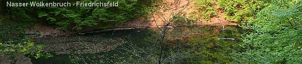 Denuwa Fotografie - Landschaftsfotografie - Friedrichsfeld (Altkreis Hofgeismar)