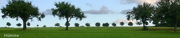 Denuwa Fotografie - Landschaftsfotografie - Hümme (Altkreis Hofgeismar)