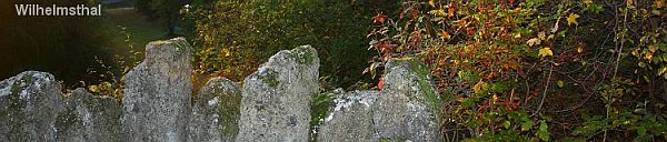 Denuwa Fotografie - Landschaftsfotografie - Wilhelmsthal (Altkreis Hofgeismar)